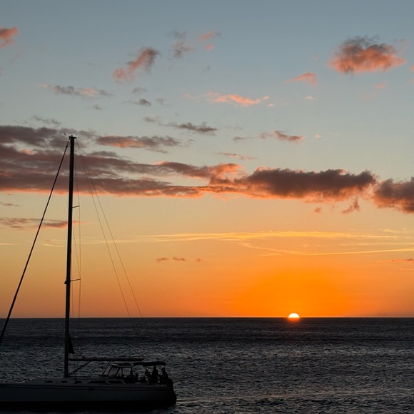 Meet your Posher, Isabelle - Picture 1 of 1